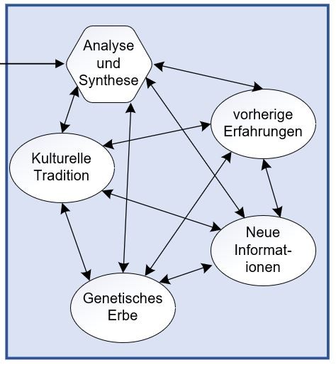 Abbildung 3: Umweltanalyse (Quelle: Wittorf, 2022)